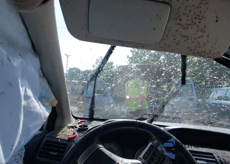 2014 Subaru Impreza 2.0I Sport Premium из США, поврежденный, VIN JF1GPAL65E8250056